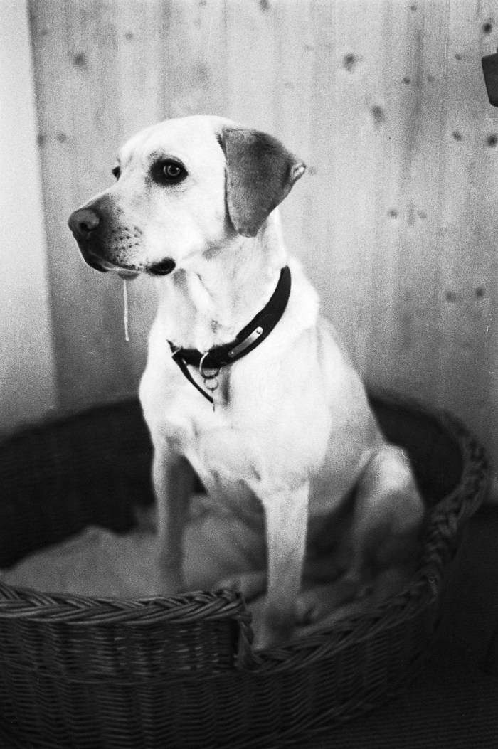 WE00464 College Bits (2)