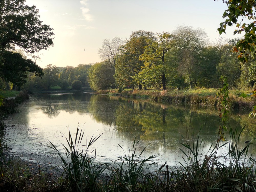 Wanstead Park